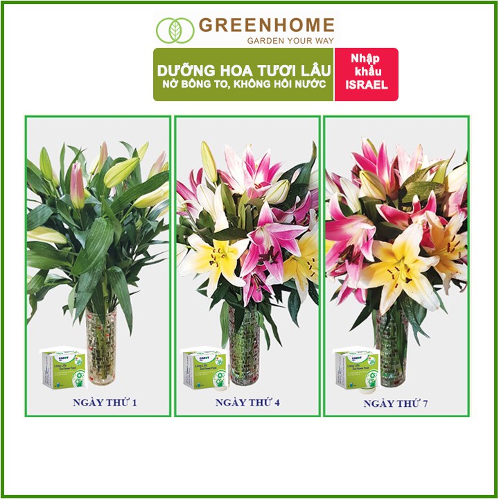 10 gói Dưỡng hoa lâu tàn Long Life, gói 5gr, hoa tươi lâu, nở bông to, không bị hôi nước |Greenhome