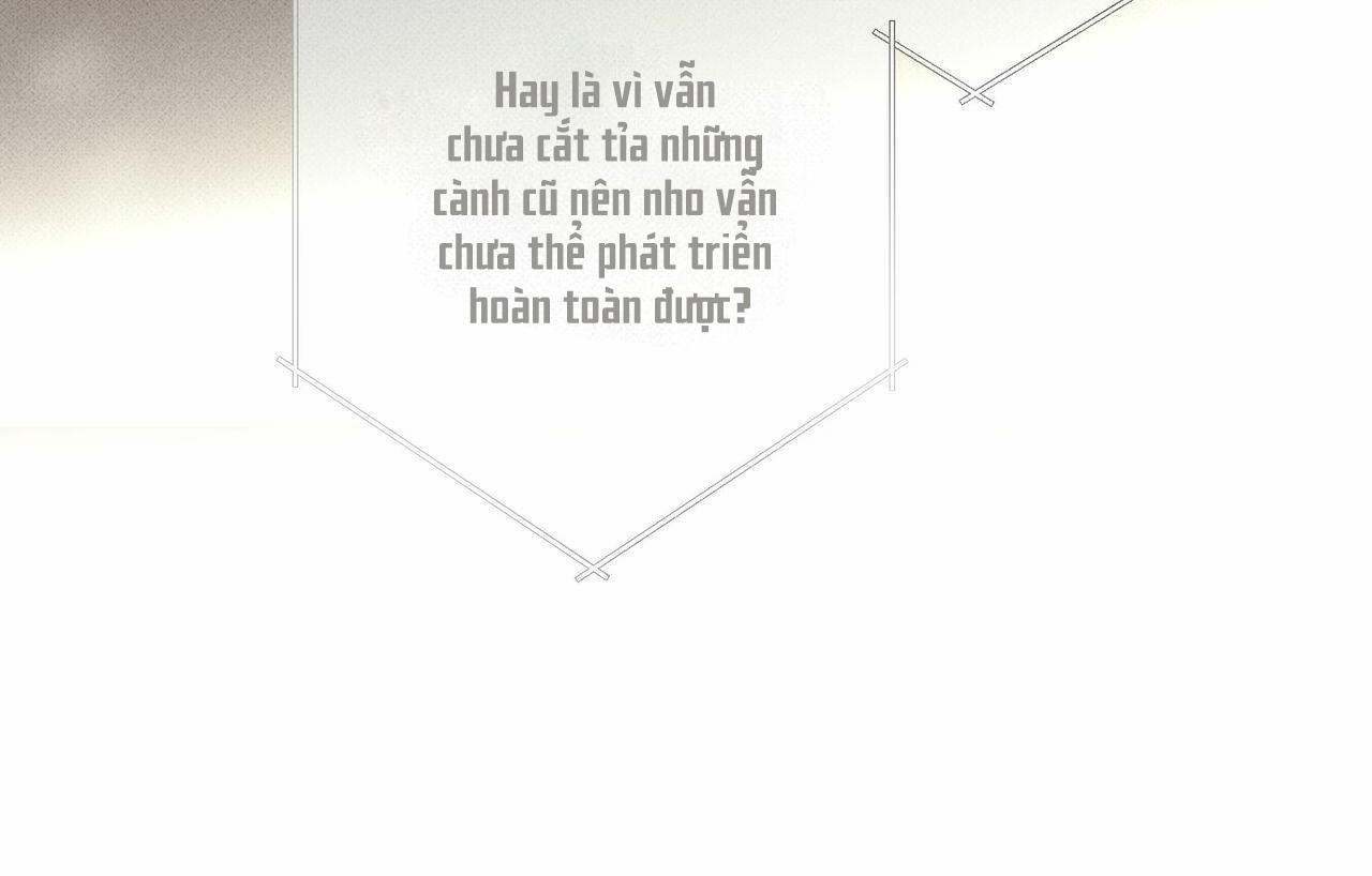 chàng giao pizza và gold palace chapter 30 42