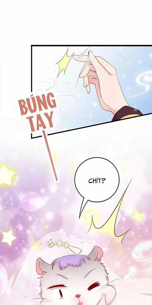 kế ước ngọt sủng:quốc dân lão công đích tiểu chiếm giữ thử chapter 2 10