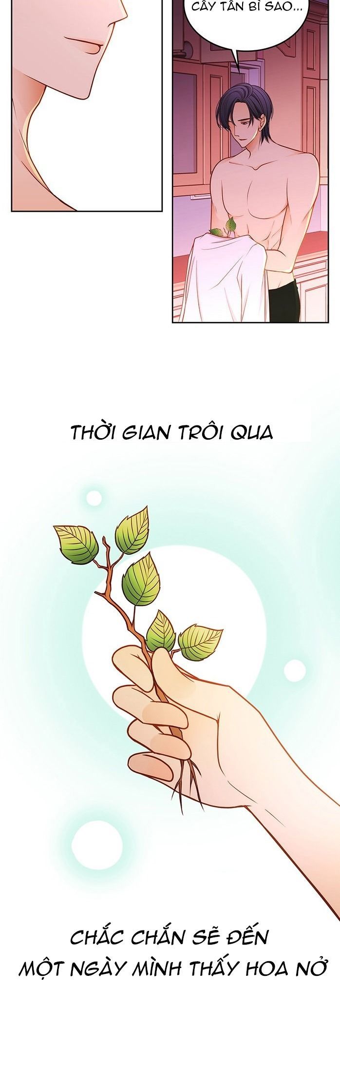 tiệm hoa của wendy chapter 33 12