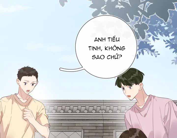 Minh Nhật Tinh Trình chapter 28