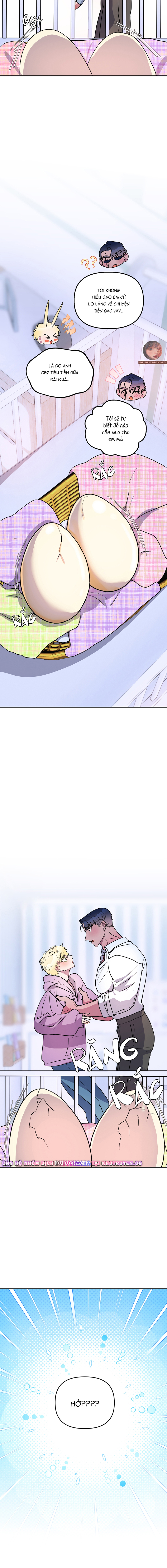 giải cứu bé thỏ khỏi tay cá mập chapter 44 5