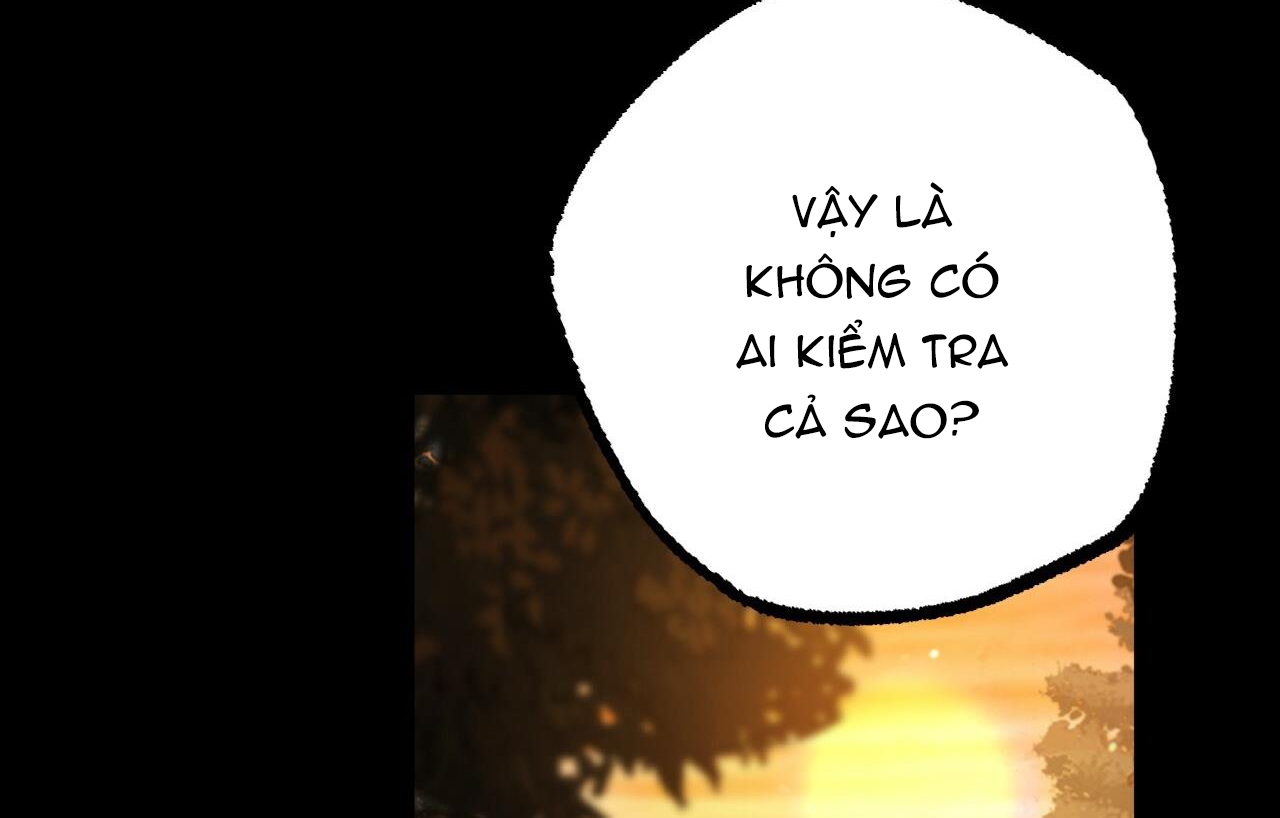 đàn thỏ của habibi chapter 26 234