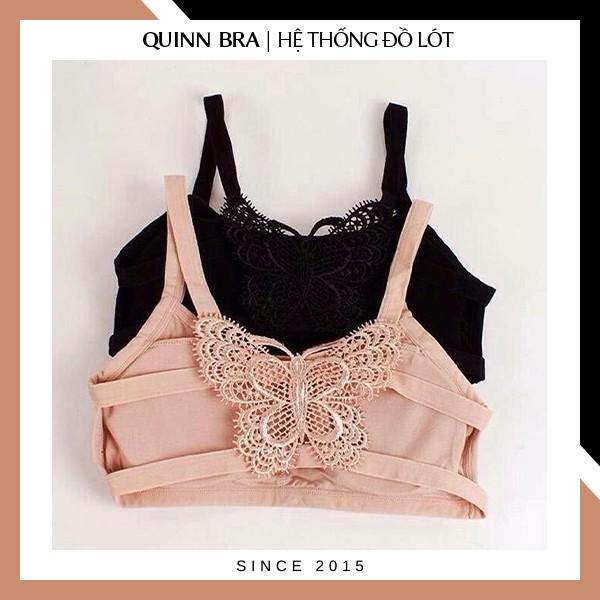 Áo Lót Lá Dây Bướm không gọng học sinh chất cotton cao cấp kèm đệm mút QUINN BRA AB010 - Bra Thái áo ngực đẹp hai dây