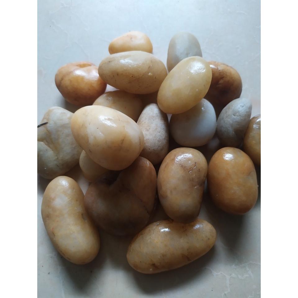 1 Kg Sỏi THẠCH ANH Viên Lớn  Trang Trí Hồ Cá - Phụ Kiện Bể Cá- 1Kg.
