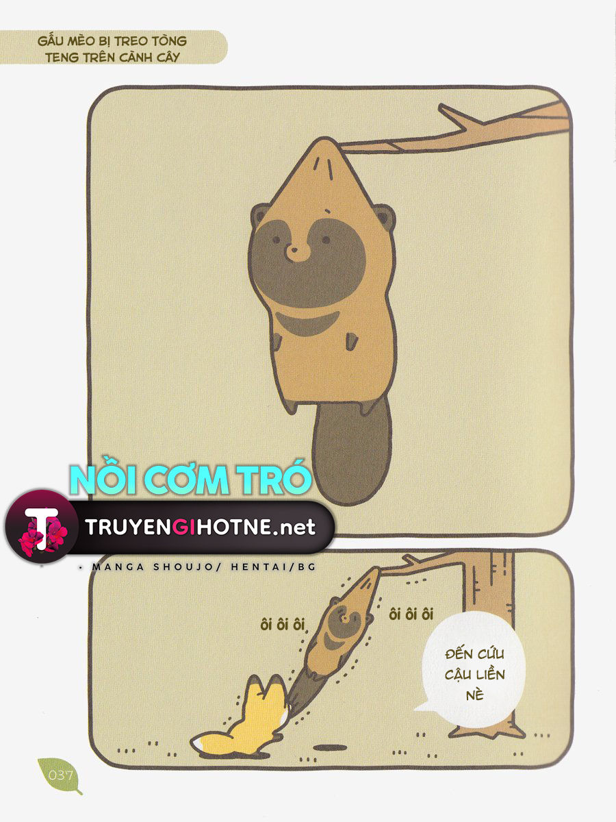cáo và gấu mèo chapter 4 2