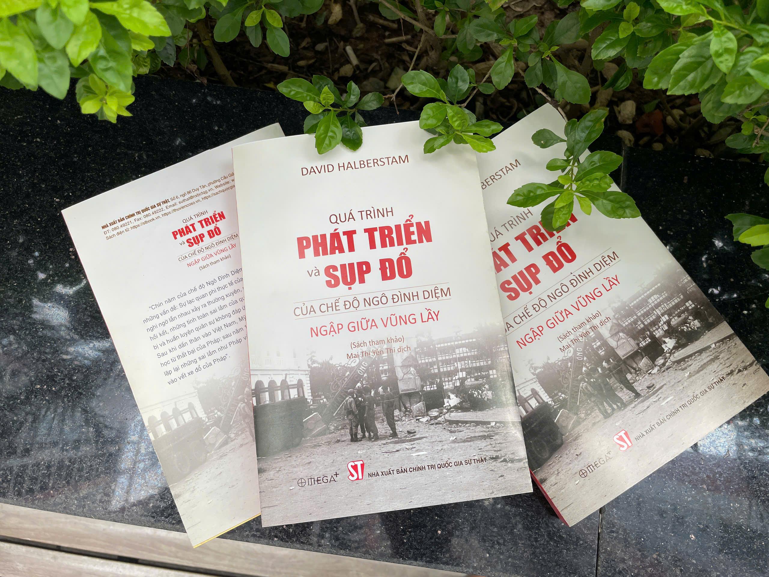 Sách - Quá Trình Phát Triển Và Sụp Đổ Của Chế Độ Ngô Đình Diệm - Ngập Giữa Vũng Lầy