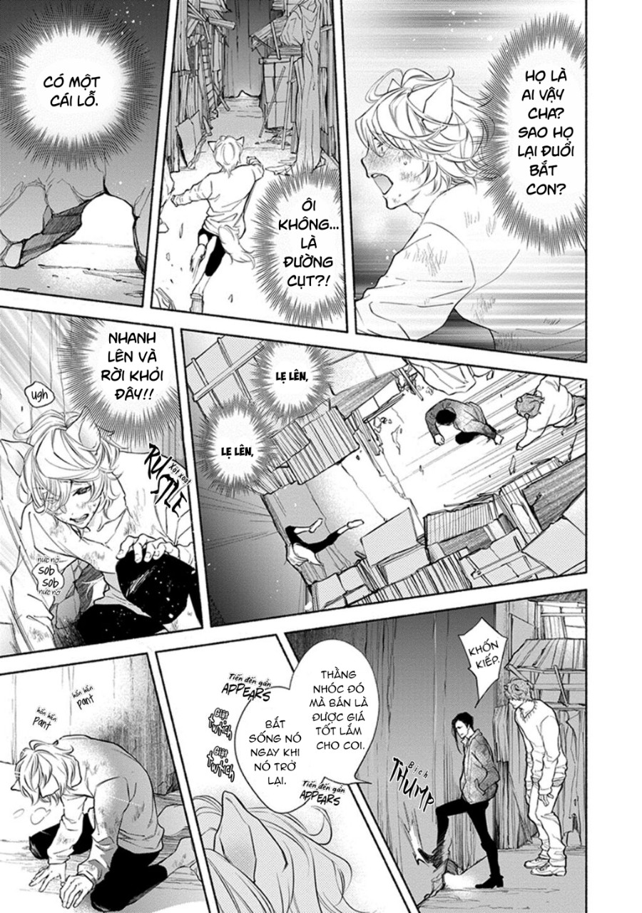 thú cưng muốn được yêu thương chapter 1 3