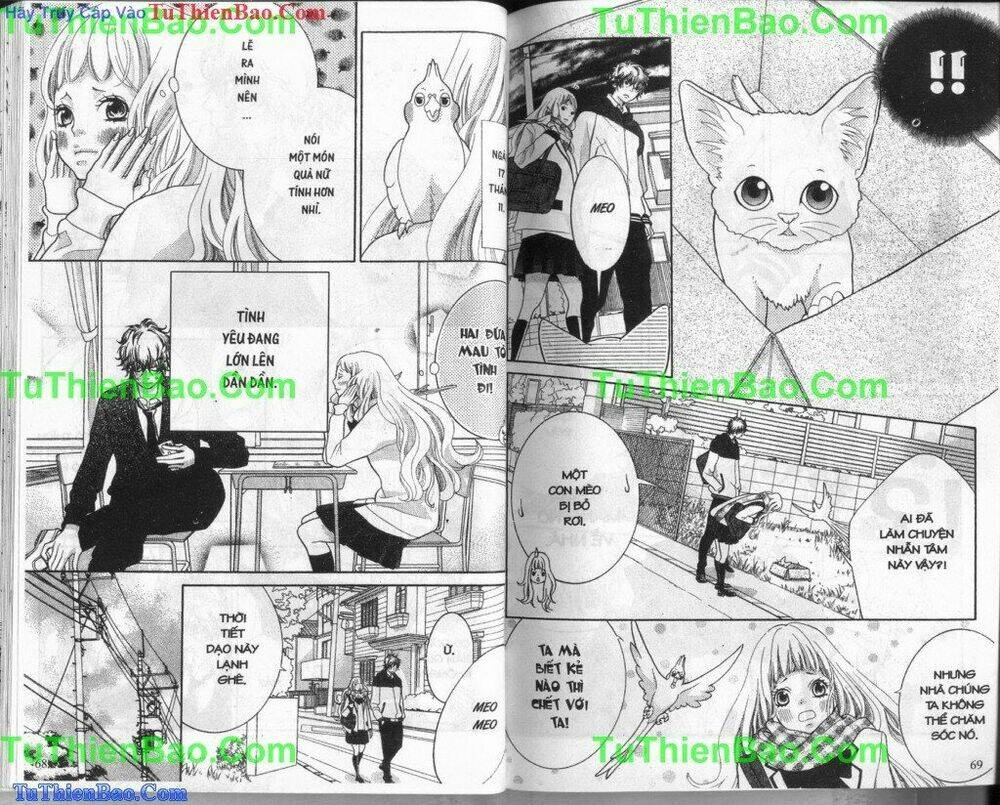 anh bạn bí ẩn chapter 4 35