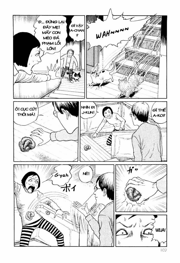 ito junji cat's diary chapter 10 2