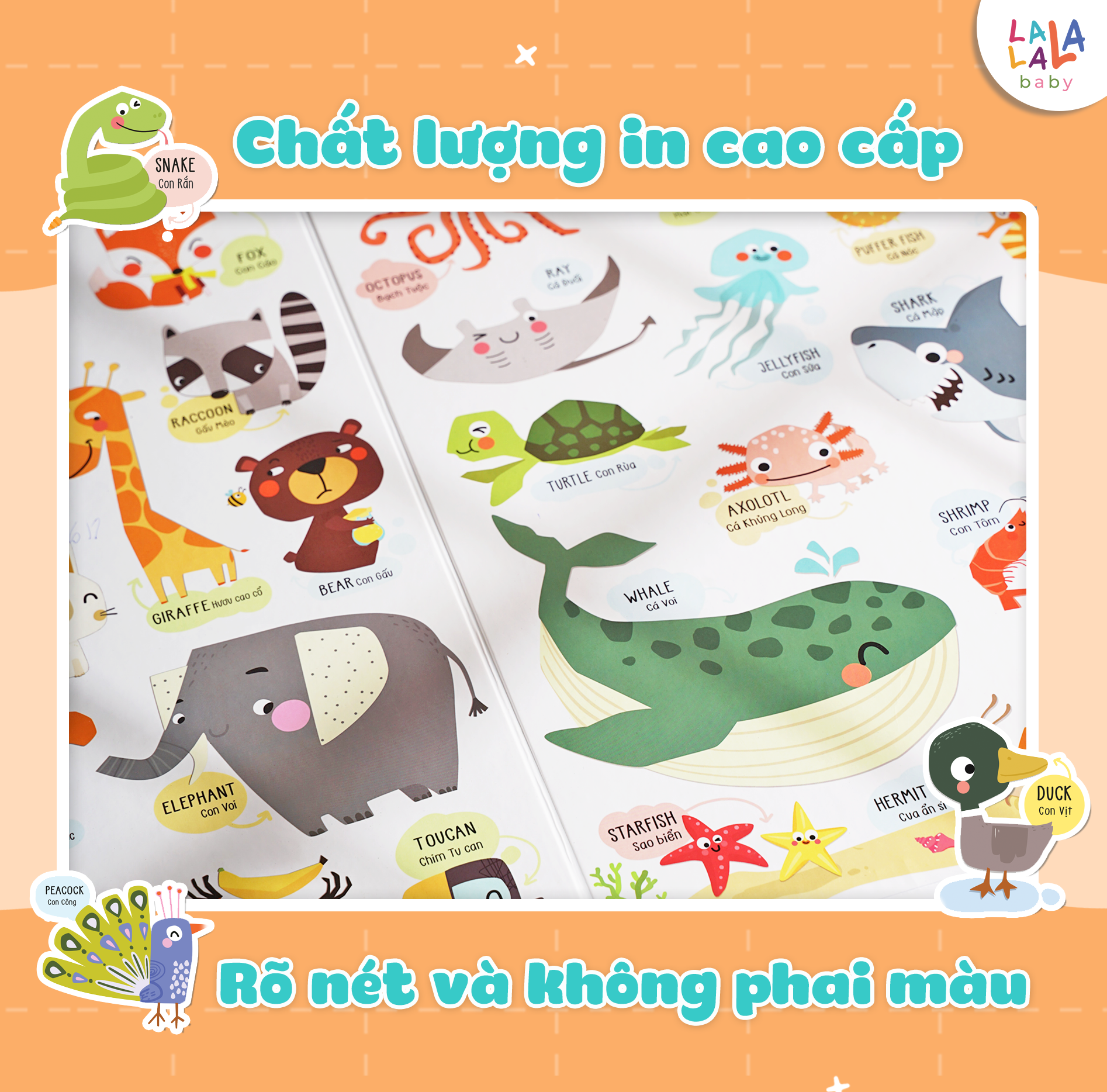 Bảng gấp thông thái - My First Learning chart (Dành cho bé từ 1 tuổi) - Lalala Baby