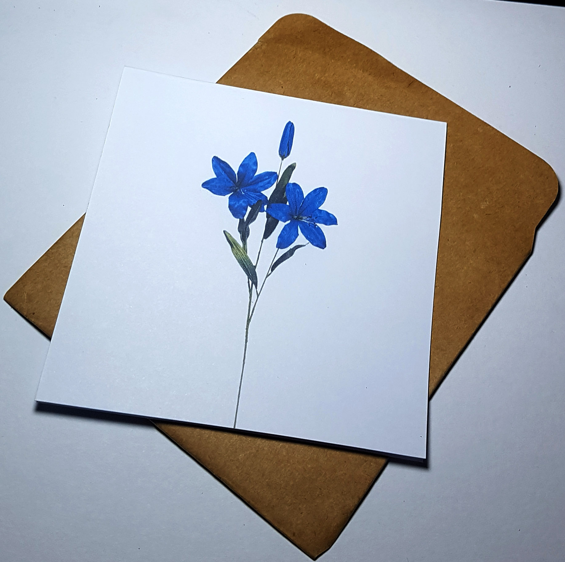 Thiệp phong cách Vintage card quà cám ơn ,chúc mừng sinh nhật và giử tặng người thân yêu