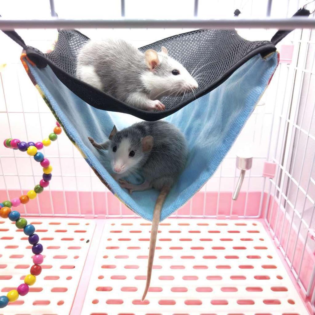 Small Animal Bedding Cage Accessories Hammock Hedgehog Squirrel Rat Green