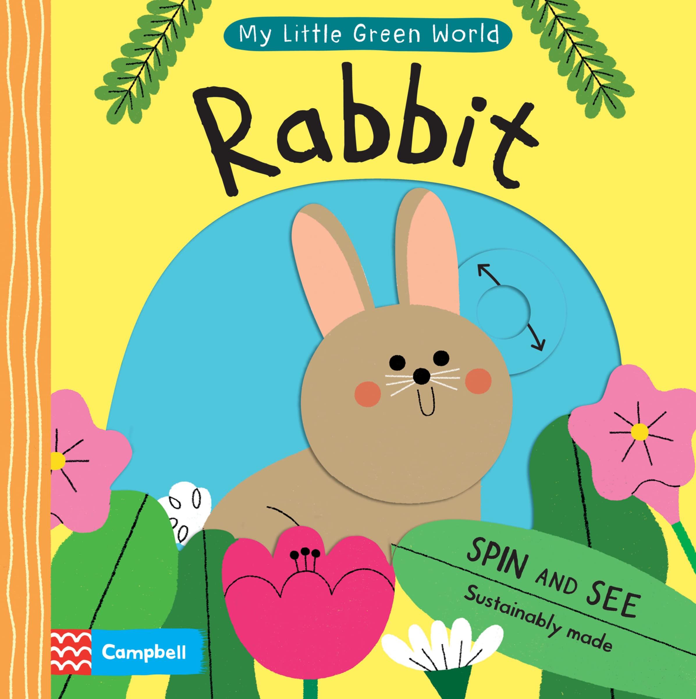 Rabbit (My Little Green World 5)