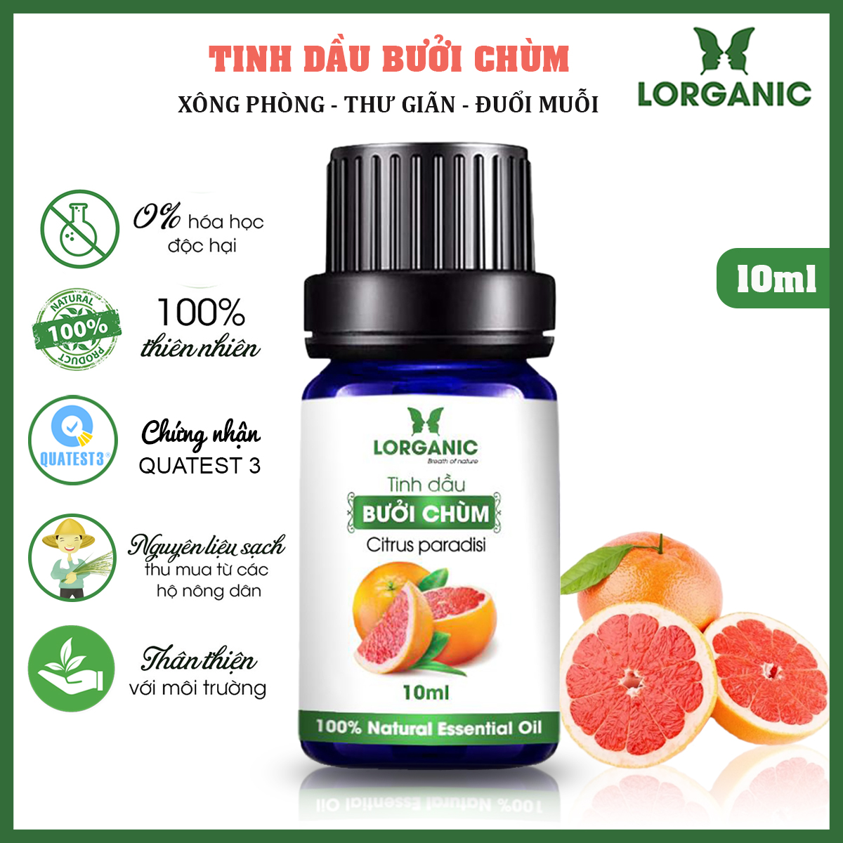 Máy khuếch tán/ máy xông tinh dầu bình tửu + tinh dầu sả chanh + tinh dầu bưởi chùm Lorganic (10ml x 2 chai)