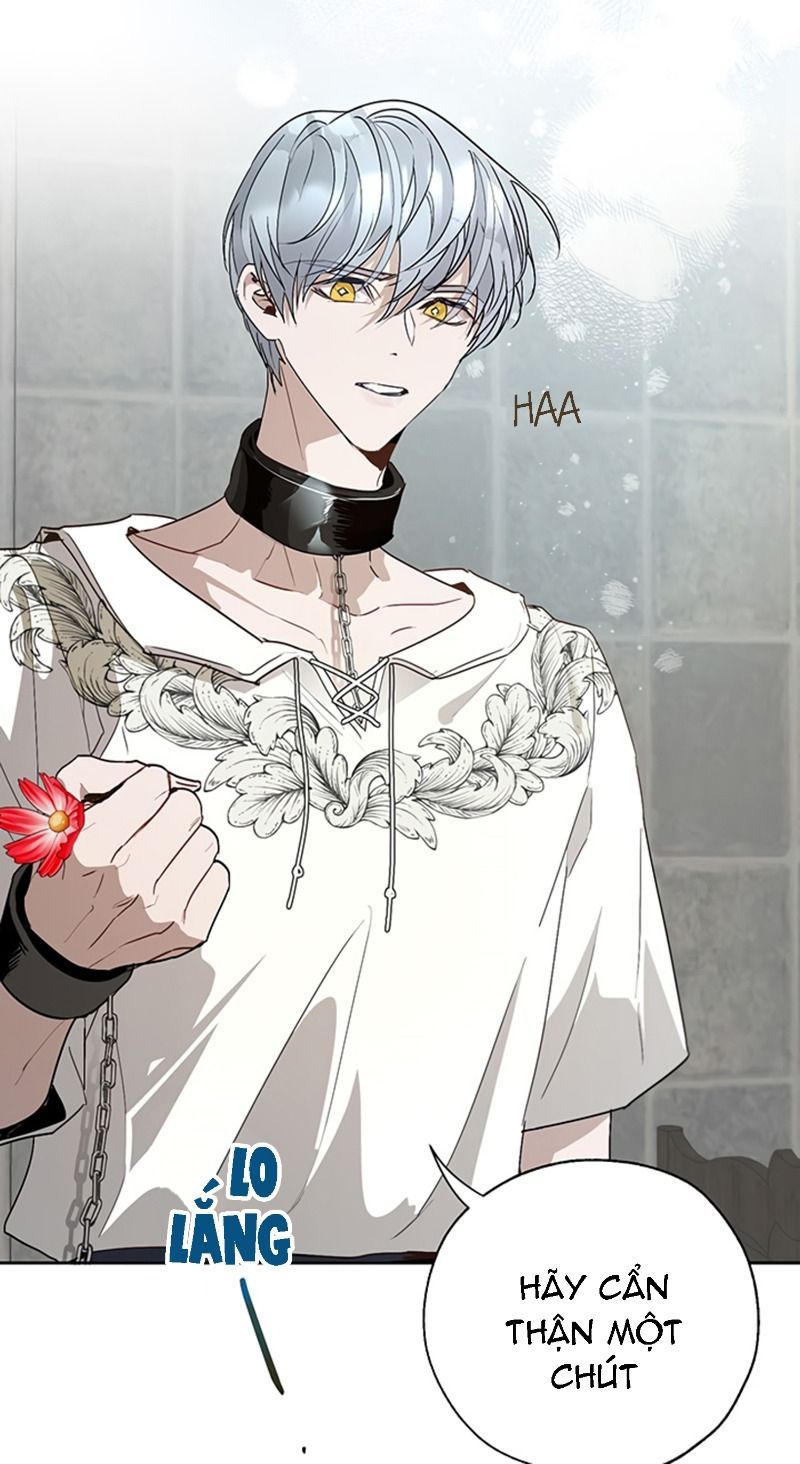 cách để cứu rỗi anh trai của nữ chính chapter 20 13