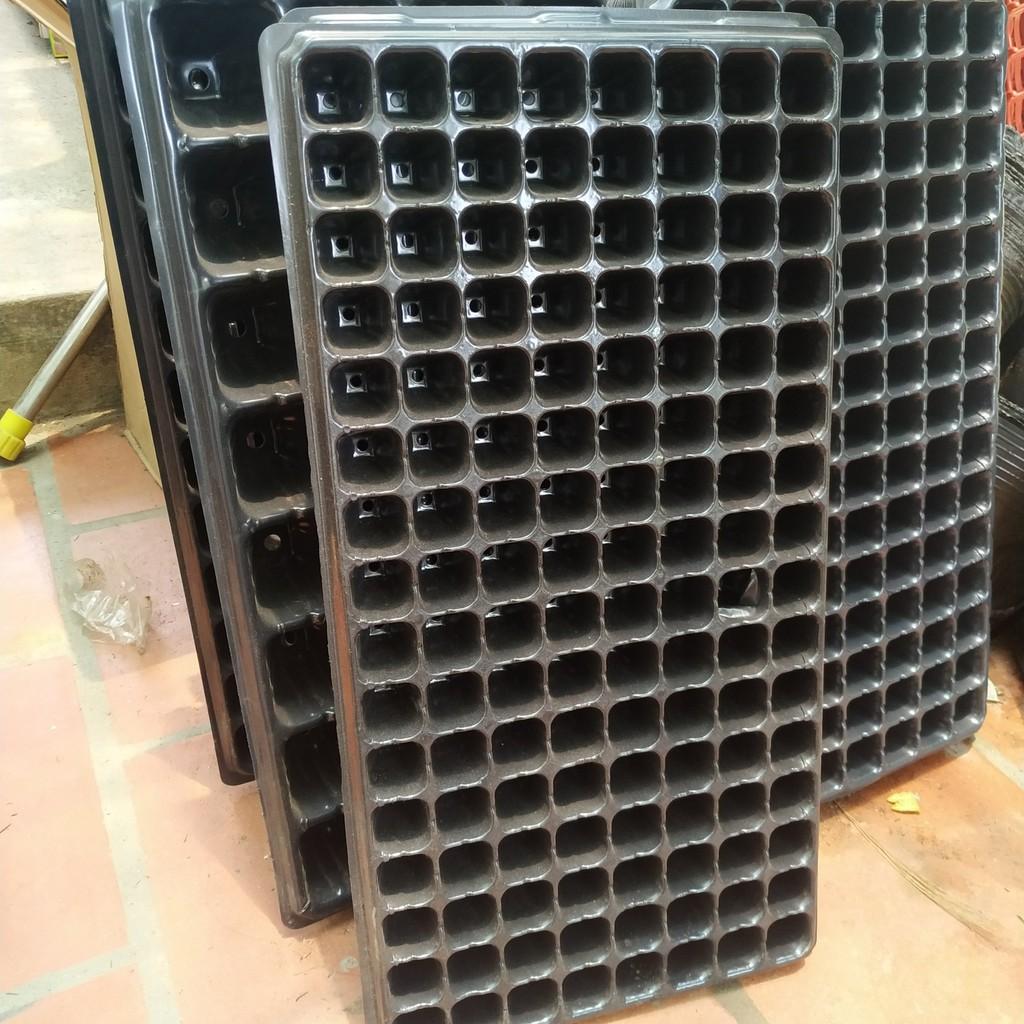 COMBO 2 VỈ NHỰA ƯƠM HẠT CHẤT LƯỢNG CAO