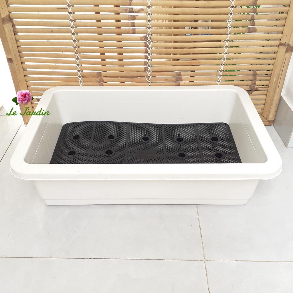 Khay trồng rau thông minh nhựa dày loại tốt 65x42x16cm