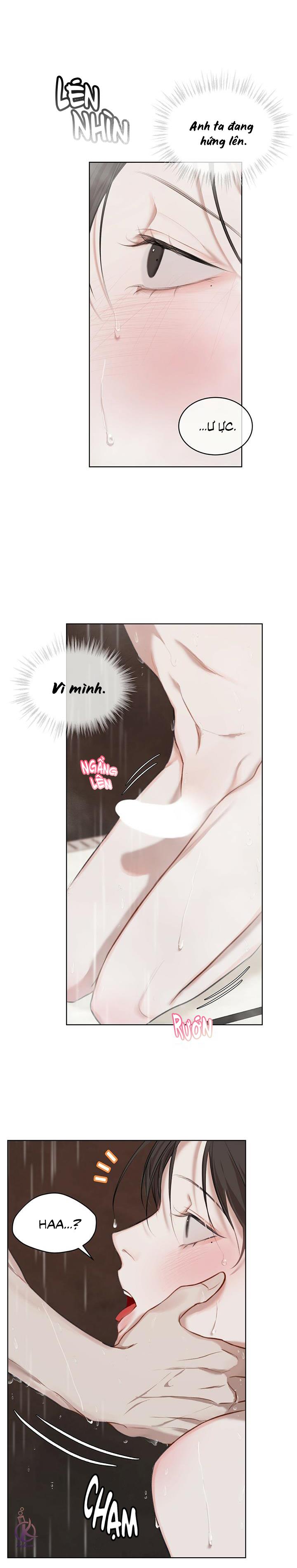 hình thái khởi sinh chapter 12 12