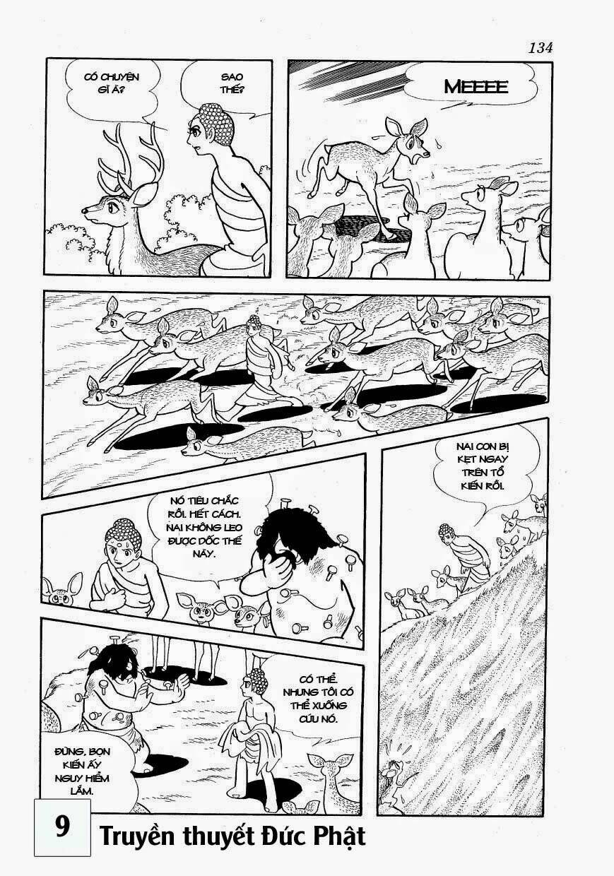buddha - truyền thuyết đức phật chapter 41 36