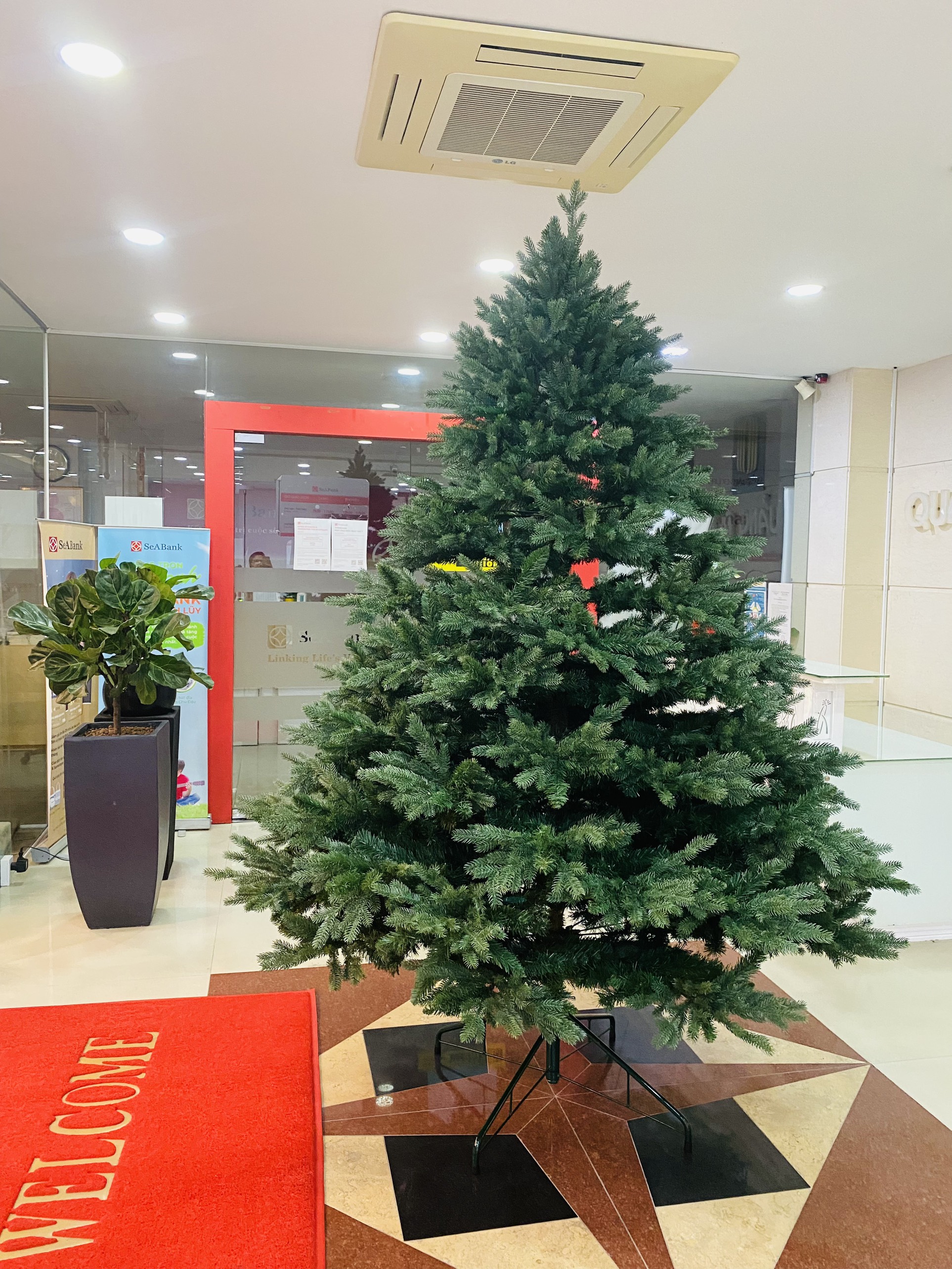 Cây thông Pe cao cấp 2m - Cây thông noel PE cao 2m - Cây tự động bung cành