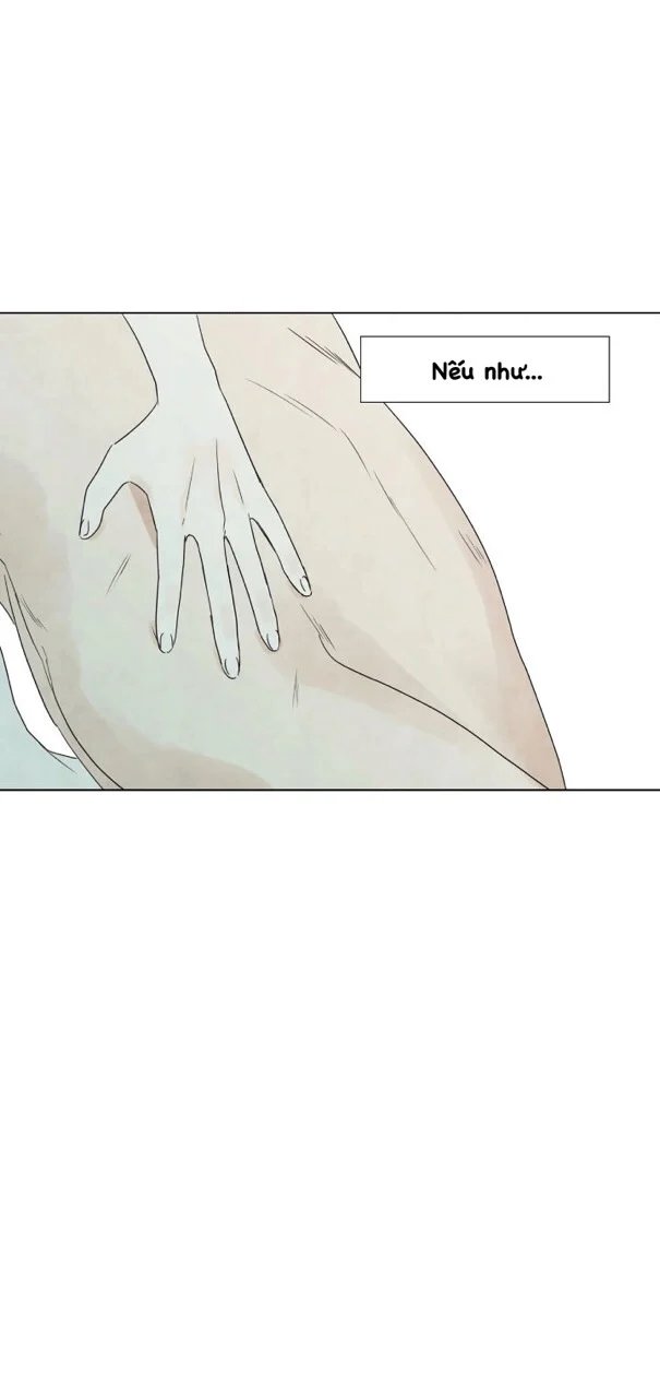 summer solstice point chapter 14 40