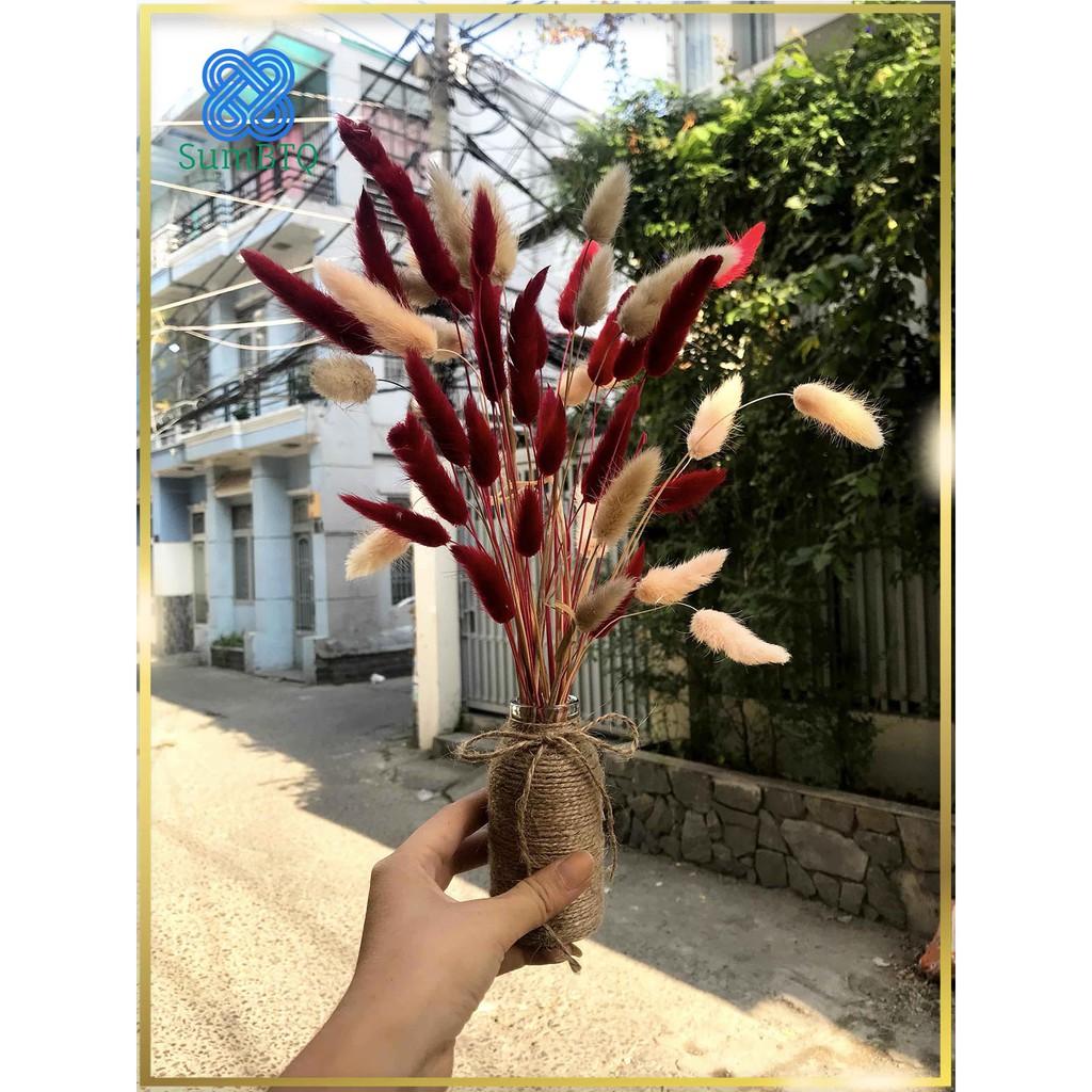 Chậu Hoa Đuôi Thỏ Đỏ Trang Trí Phòng