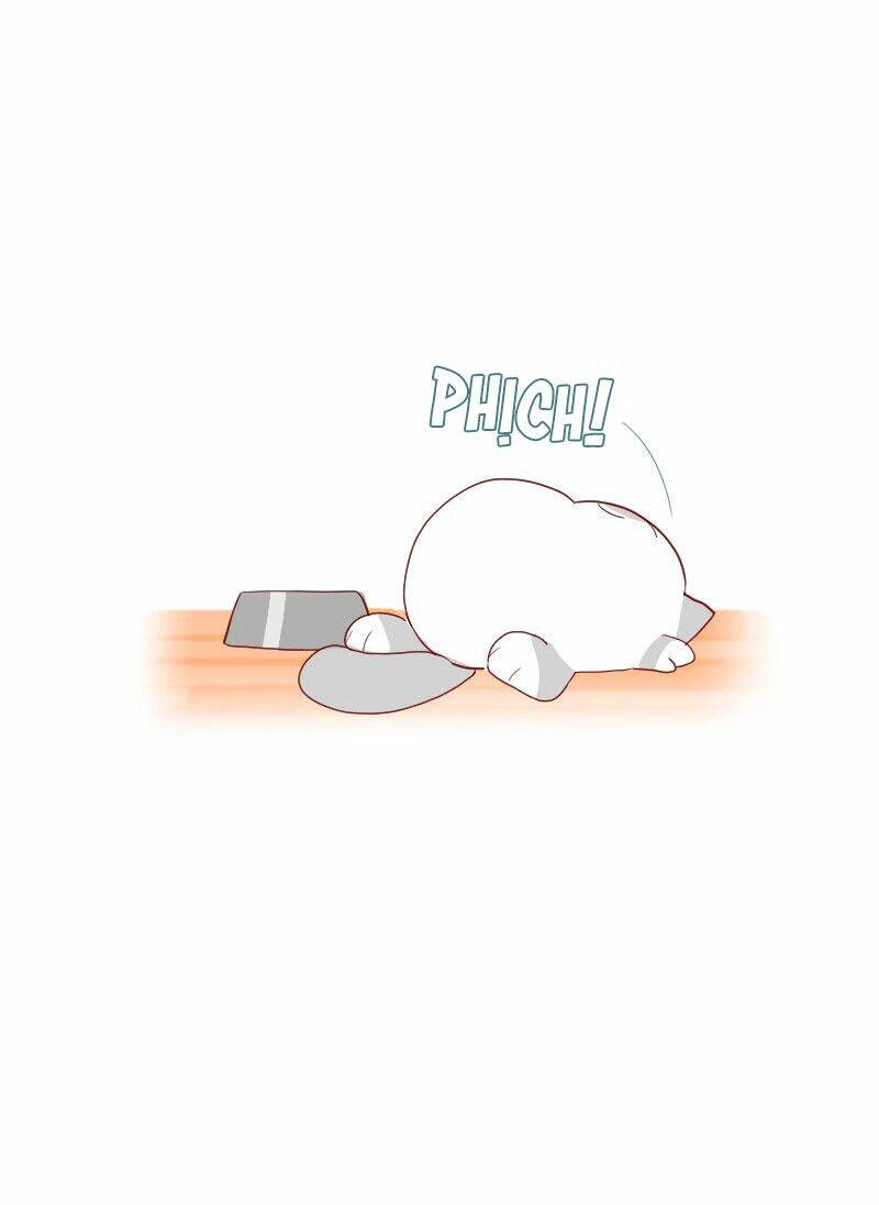 saphie: chú mèo một mắt chapter 4 3