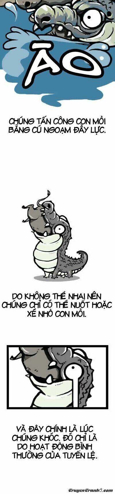 earth, human, and animal chapter 6 11