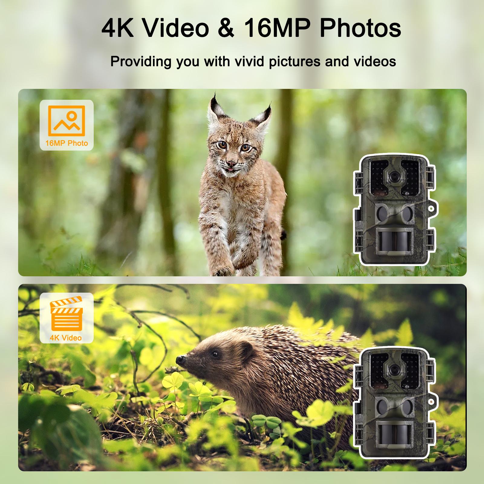 4K Trail Camera 16MP Wildlife Scouting Camera Tracking Camera with 2.0 Inch TFT Color Screen PIR Sensors 0.5s Trigger Time Supports Infrared Night Vision Motion Activated IP66 Waterproof