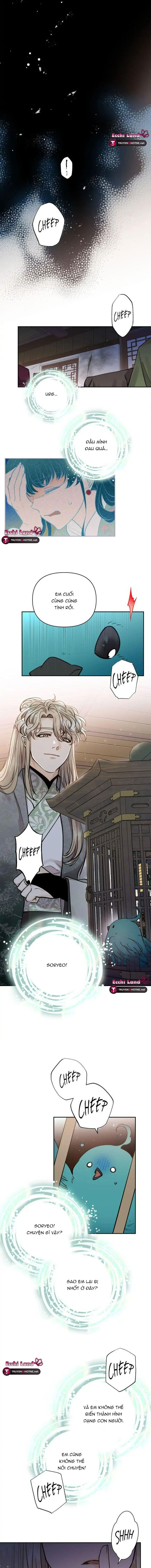 cô dâu thiên đàng chapter 71.1 11