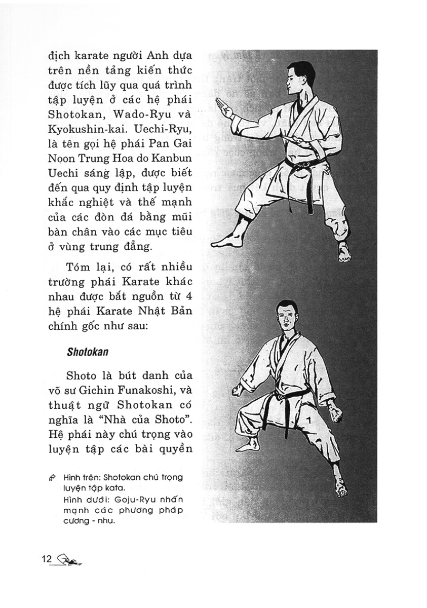 Hướng Dẫn Tập Luyện Karate Bằng Hình Ảnh - VL