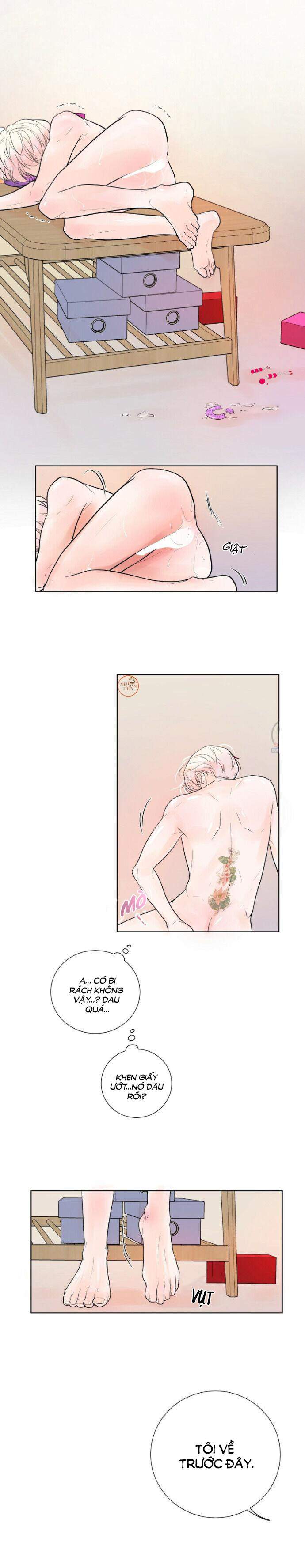 bạn có tò mò về bài review? chapter 15 6