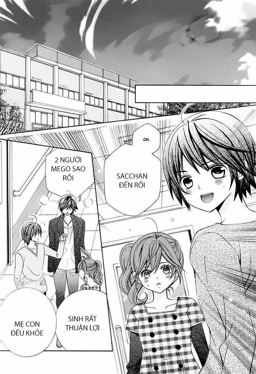 cuộc gặp gỡ diệu kỳ chapter 72 15