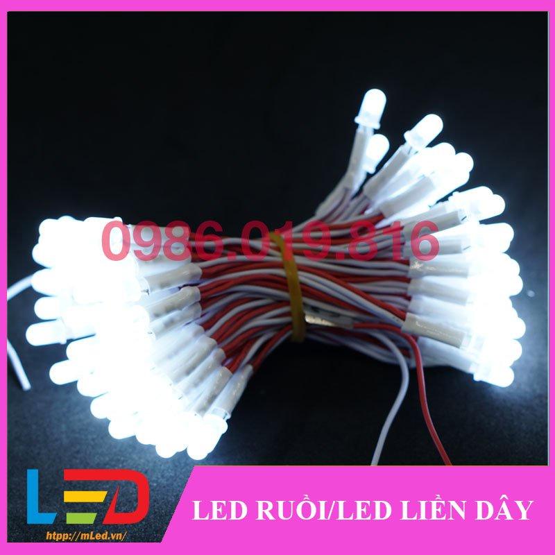 Led liền dây 5mm điện áp 5V, Bóng loại tốt