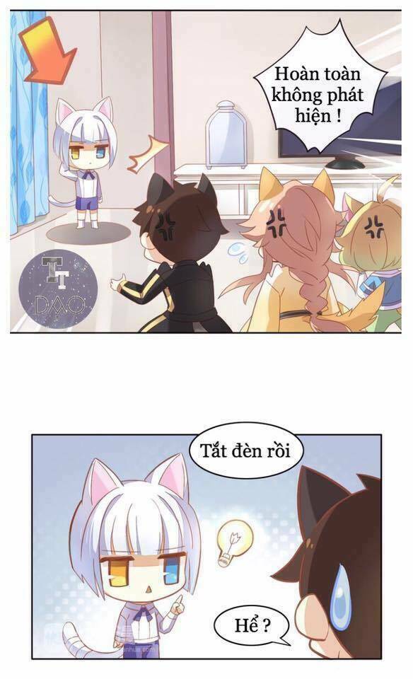 dưới móng vuốt mèo chapter 4 8