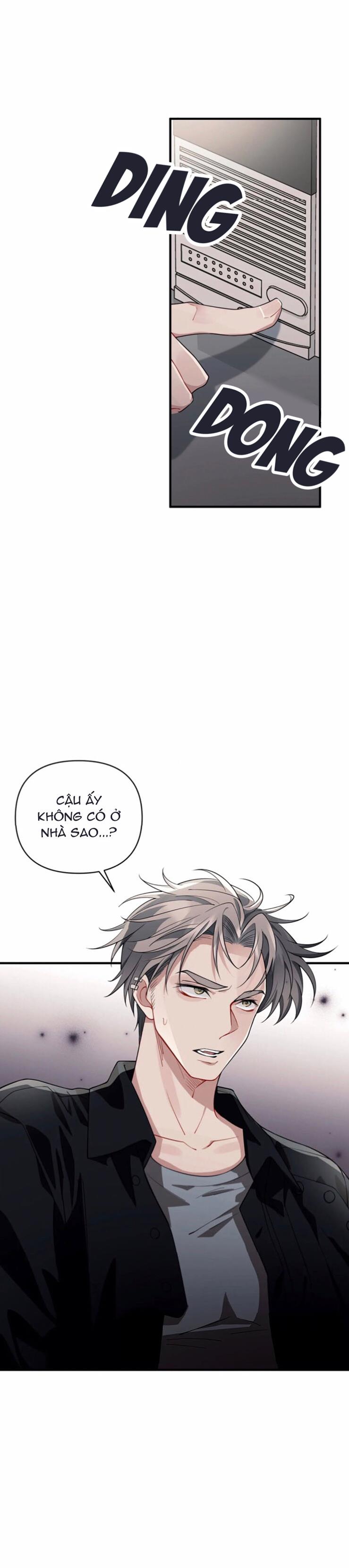 vết tích chapter 13 8