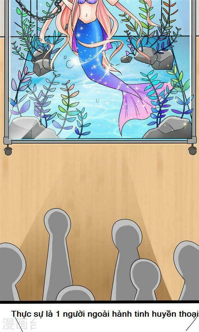 sủng vật người cá của tổng tài chapter 2 12