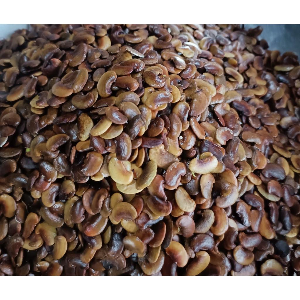 50 gram hạt giống sưa đỏ