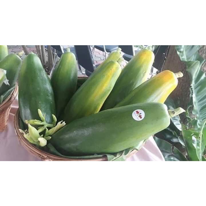 Trái đu đủ xanh
