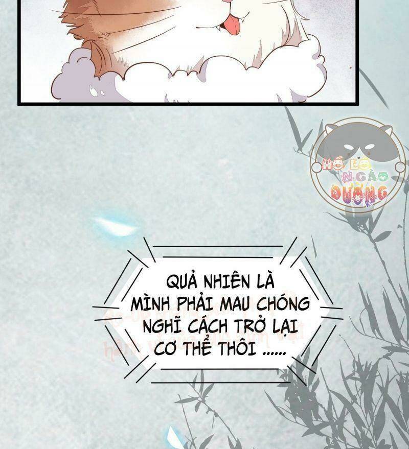 sát thủ vương phi không dễ chọc chapter 39 31