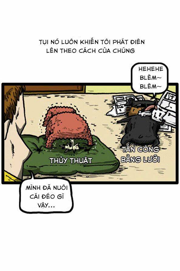 tiếng gọi con tim chapter 23 5