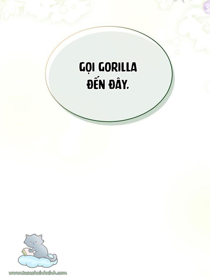 quan hệ cộng sinh giữa báo đen và thỏ trắng chapter 64 72