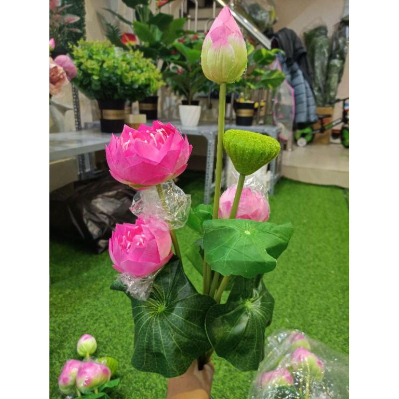 Cành sen giả,sen thái cánh kép cao 77cm,lụa cao cấp, lá in 3D-hoaluaminhhoa