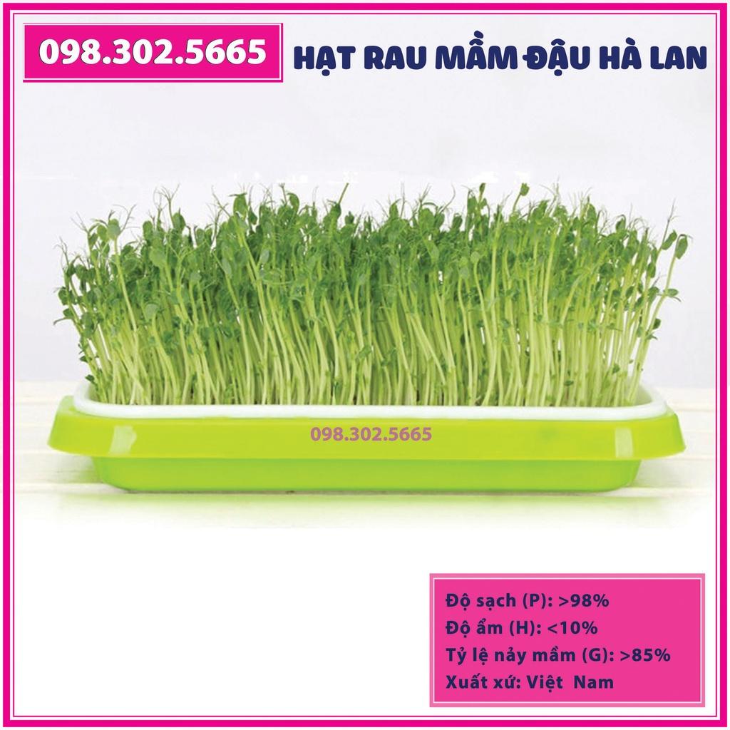 Bộ 5 gói Hạt rau mầm đậu hà lan - gói 90g - Trồng rau mầm hữu cơ an toàn tại nhà