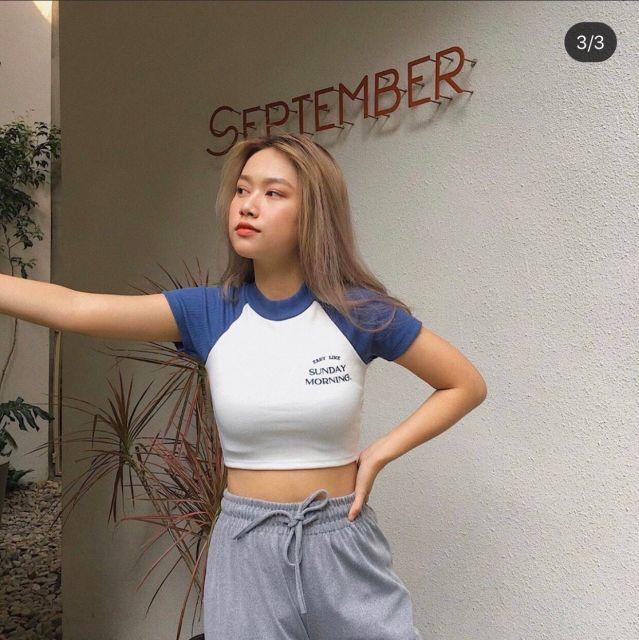 Áo ngắn 6 màu xinh