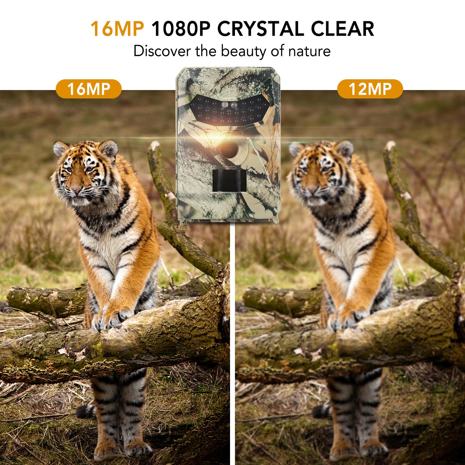 16Mp 1080P Máy Ảnh Đường Mòn Săn Bắn Máy Ảnh Máy Ảnh Hướng Đạo Động Vật Hoang Dã Ngoài Trời Với Cảm Biến Pir Hồng Ngoạimàu Đỏ Tầm Nhìn Ban Đêm