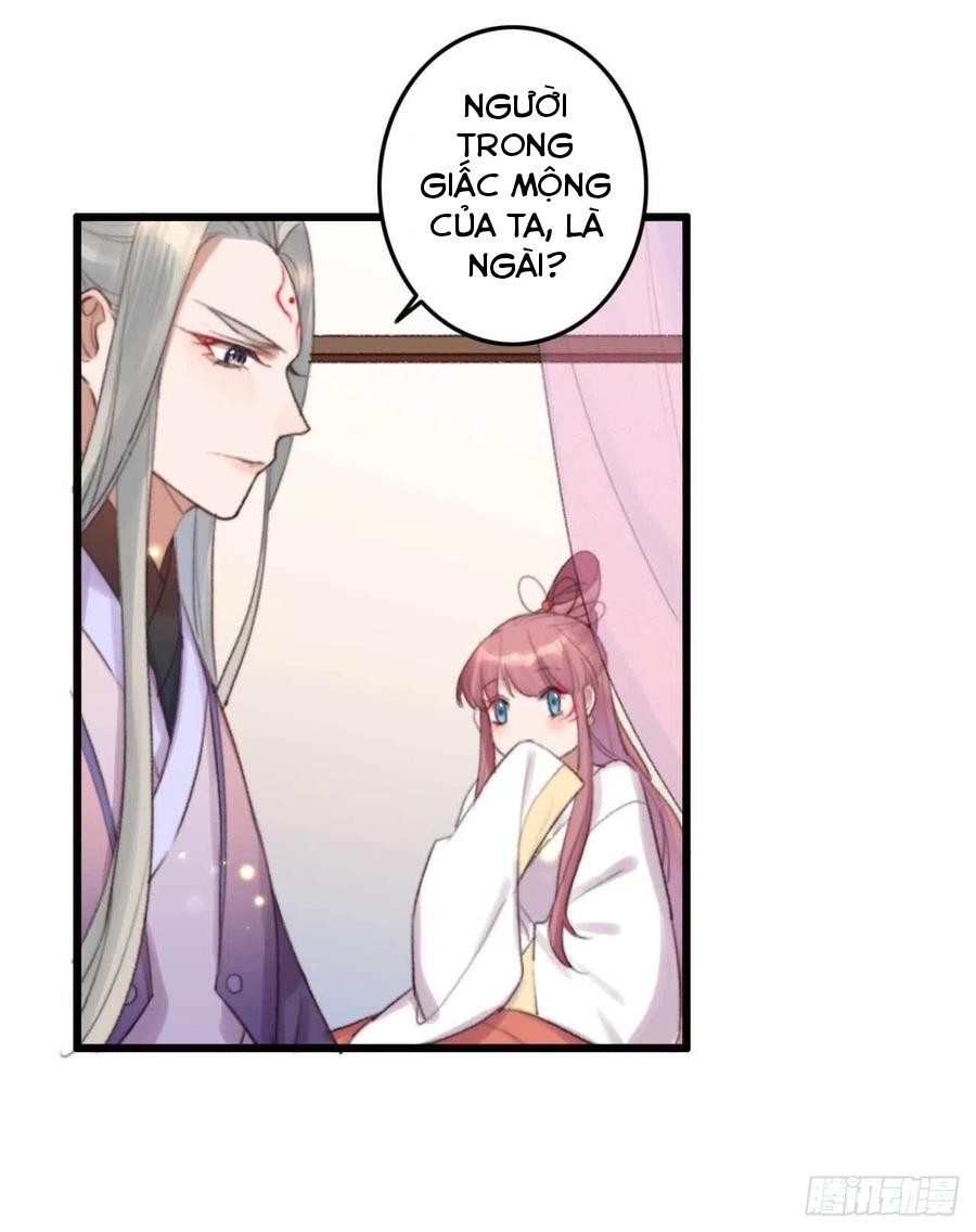 đế tôn cuồng sủng: thần y đặc công phế tài phi chapter 7 8