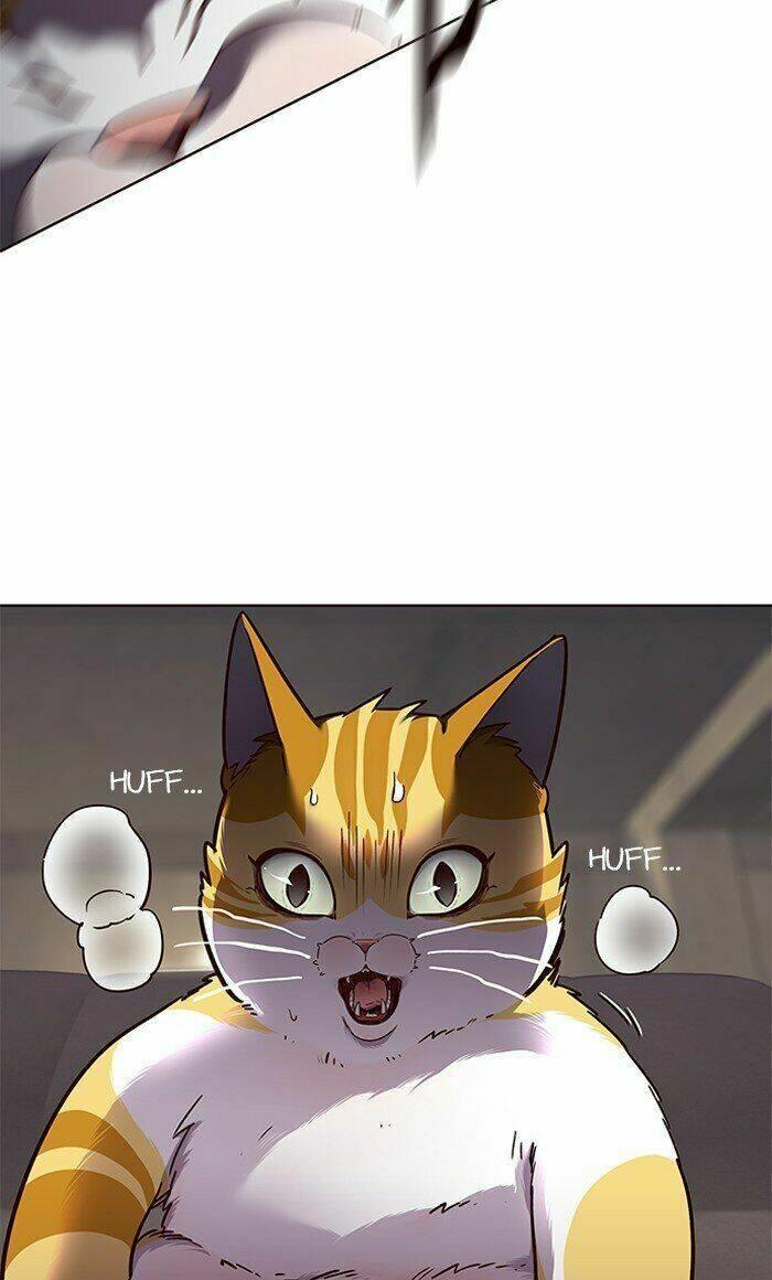 biến thân thành mèo chapter 65 11