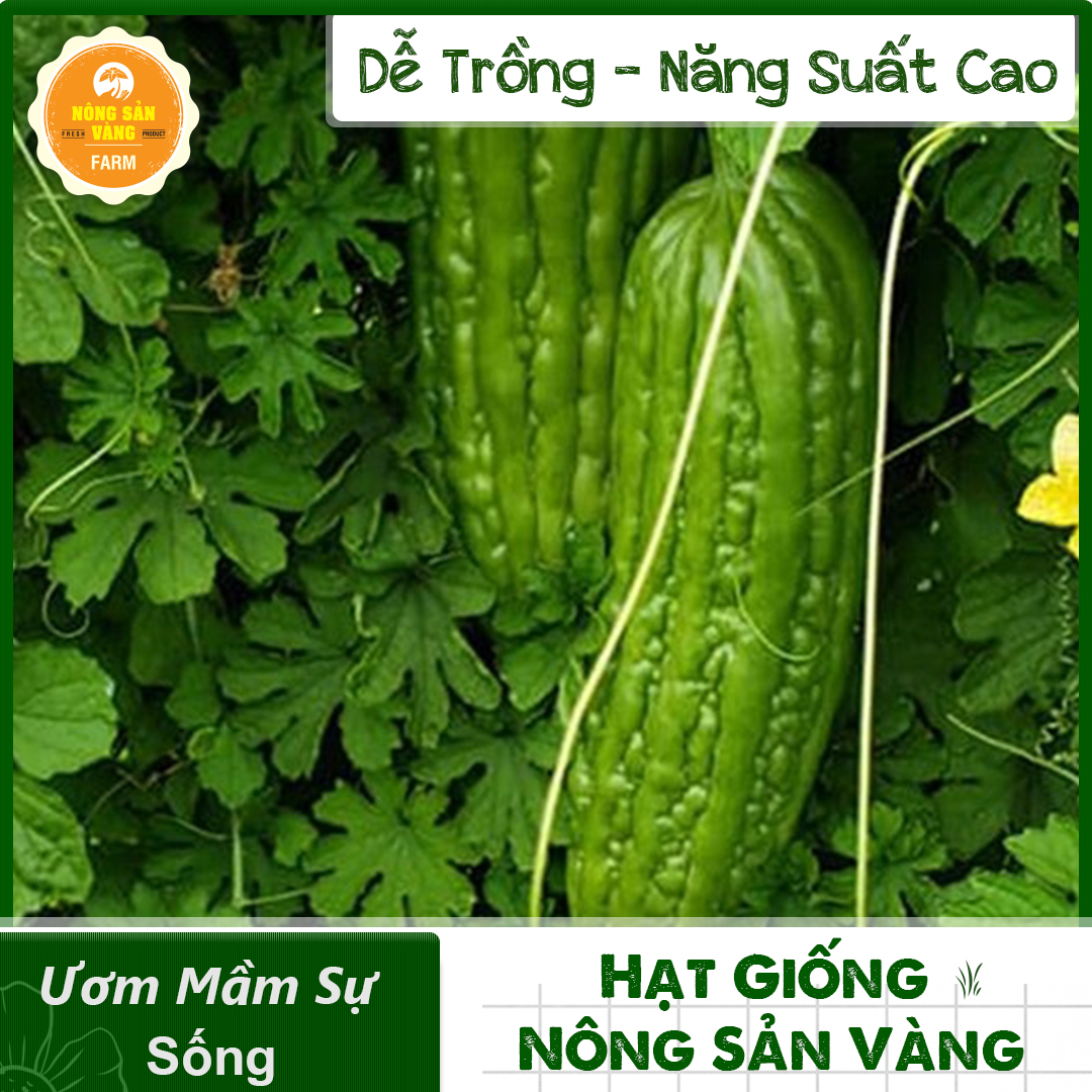 Hạt giống Khổ Qua F1 Dễ Trồng, Trồng Được Quanh Năm, Được Nhiều Nhiều Yêu Thích (Gói 10 Hạt) - Nông Sản Vàng